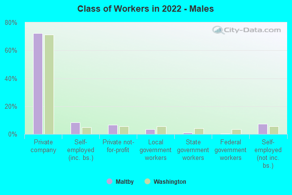 Class of Workers in 2022 - Males