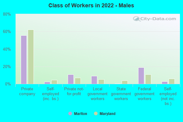 Class of Workers in 2022 - Males