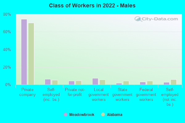 Class of Workers in 2022 - Males