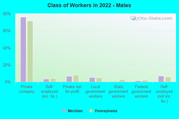 Class of Workers in 2022 - Males