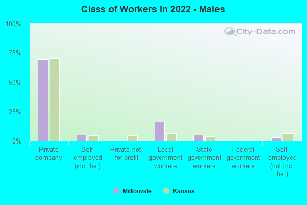 Class of Workers in 2022 - Males