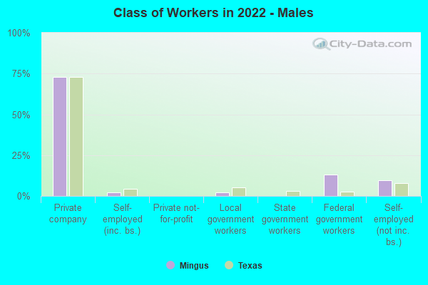 Class of Workers in 2019 - Males