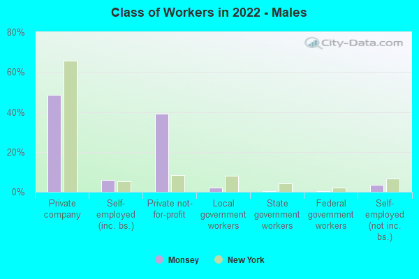 Class of Workers in 2022 - Males