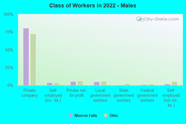 Class of Workers in 2022 - Males