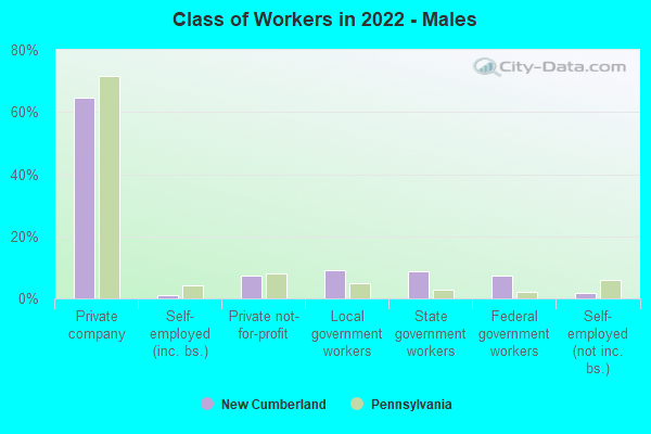 Class of Workers in 2022 - Males