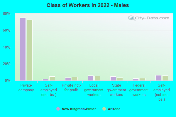 Class of Workers in 2022 - Males