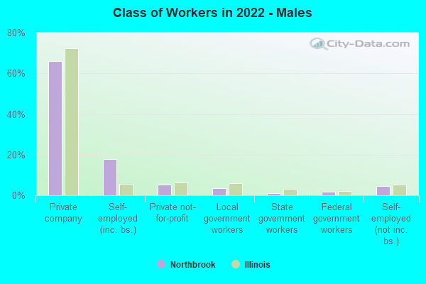 Class of Workers in 2022 - Males