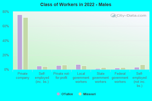 Class of Workers in 2022 - Males