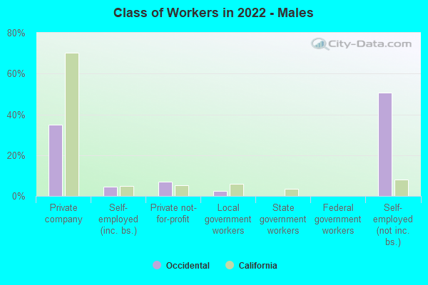 Class of Workers in 2022 - Males