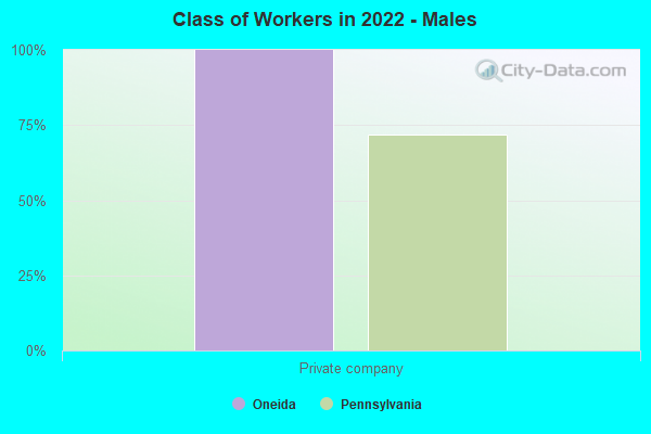 Class of Workers in 2022 - Males