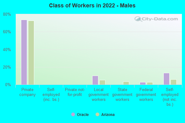 Class of Workers in 2022 - Males