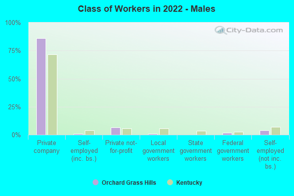 Class of Workers in 2022 - Males