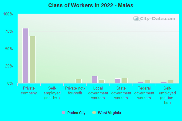 Class of Workers in 2022 - Males