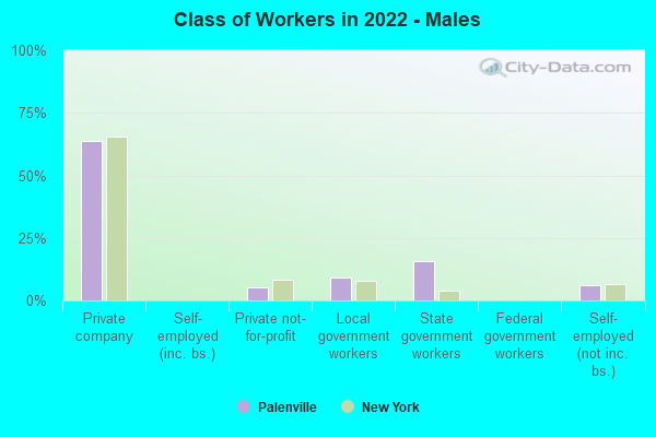 Class of Workers in 2022 - Males