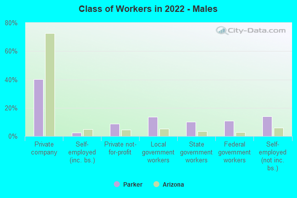 Class of Workers in 2022 - Males