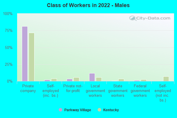 Class of Workers in 2022 - Males