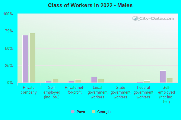 Class of Workers in 2022 - Males