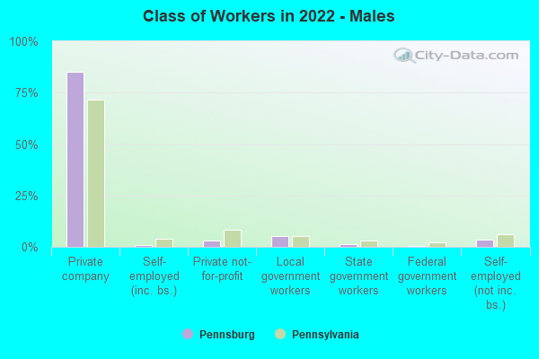 Class of Workers in 2022 - Males