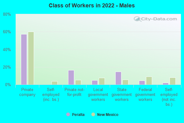 Class of Workers in 2022 - Males