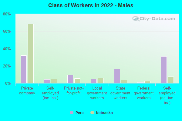 Class of Workers in 2022 - Males