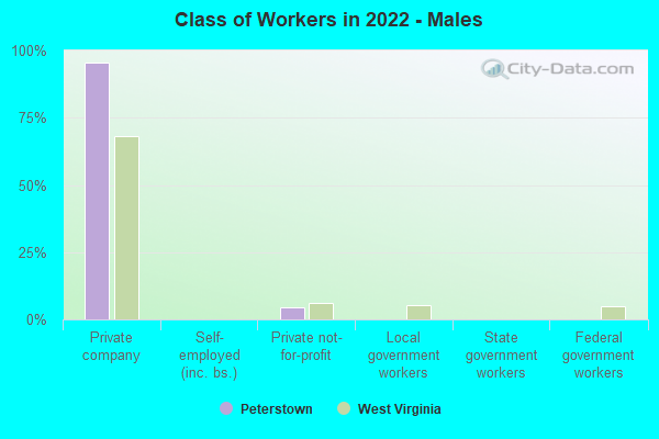 Class of Workers in 2022 - Males