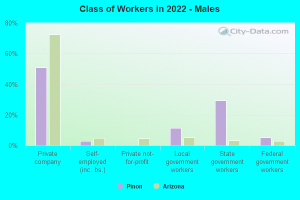 Class of Workers in 2022 - Males