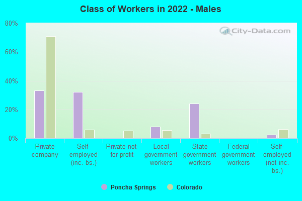 Class of Workers in 2022 - Males