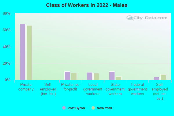 Class of Workers in 2022 - Males