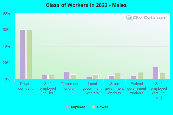 Class of Workers in 2022 - Males