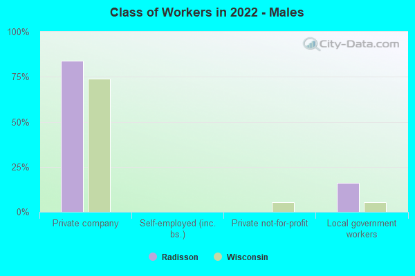 Class of Workers in 2022 - Males