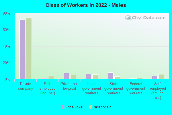 Class of Workers in 2022 - Males