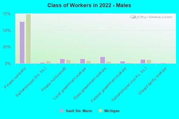 Class of Workers in 2022 - Males