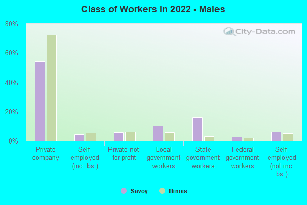 Class of Workers in 2022 - Males