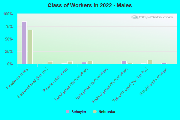 Class of Workers in 2022 - Males