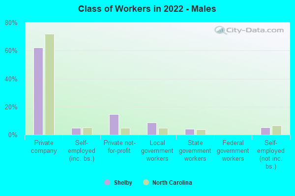 Class of Workers in 2022 - Males