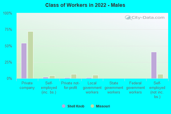 Class of Workers in 2022 - Males