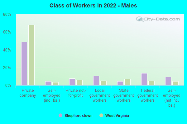 Class of Workers in 2022 - Males