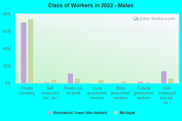 Class of Workers in 2022 - Males