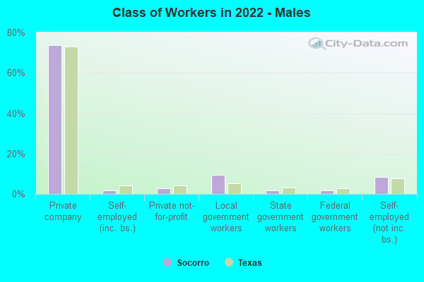 Class of Workers in 2022 - Males