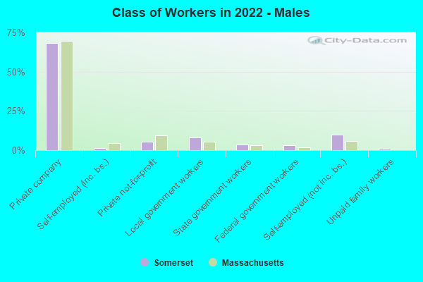 Class of Workers in 2022 - Males