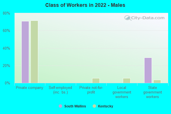 Class of Workers in 2022 - Males