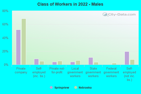 Class of Workers in 2022 - Males