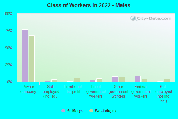 Class of Workers in 2022 - Males