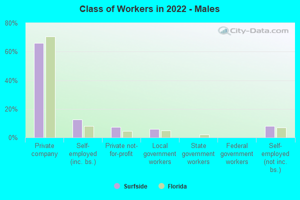 Class of Workers in 2022 - Males