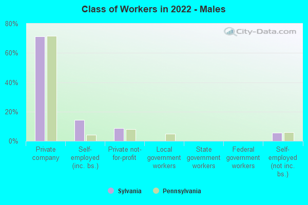 Class of Workers in 2022 - Males