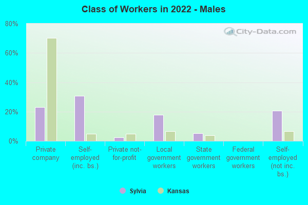 Class of Workers in 2022 - Males