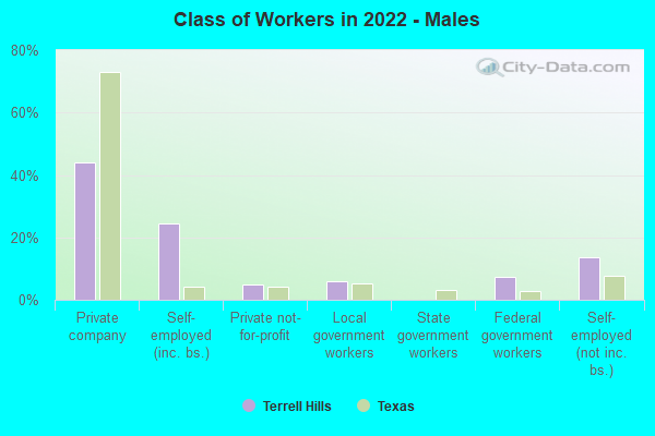 Class of Workers in 2022 - Males