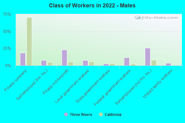 Class of Workers in 2022 - Males