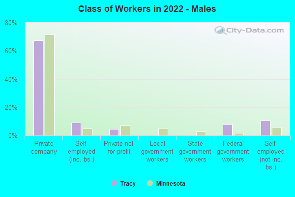 Class of Workers in 2022 - Males