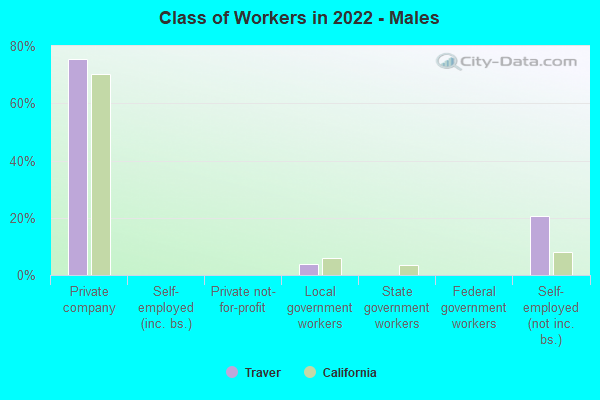 Class of Workers in 2022 - Males